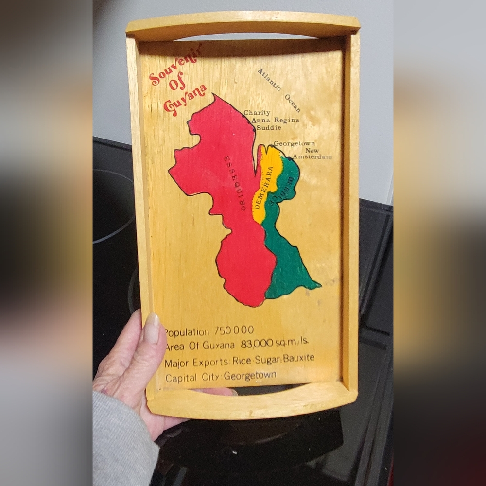 Colorful Guyana Map Wooden Plaque
